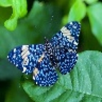 103186491_10(1)