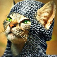 steam_avatar2397