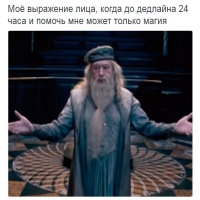 v0xm0seaku8